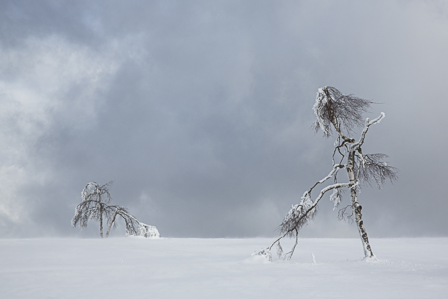 Foto: Roswitha Irmer,Auf dem Kahlen Asten © Roswitha Irmer
